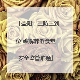 益阳：三防三到位 破解养老食堂安全监管难题