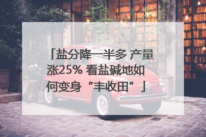 盐分降一半多 产量涨25% 看盐碱地如何变身“丰收田”