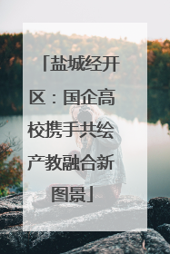 盐城经开区：国企高校携手共绘产教融合新图景