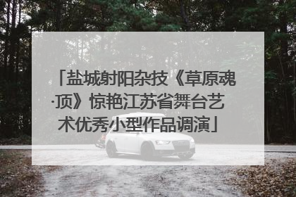 盐城射阳杂技《草原魂·顶》惊艳江苏省舞台艺术优秀小型作品调演