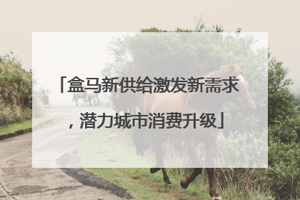 盒马新供给激发新需求，潜力城市消费升级