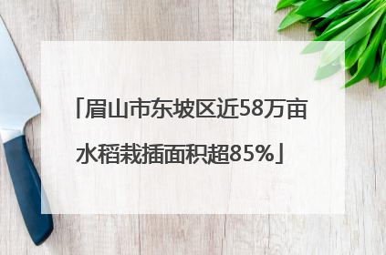 眉山市东坡区近58万亩水稻栽插面积超85%