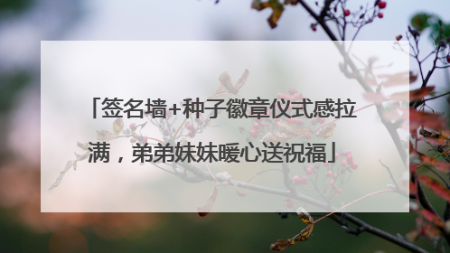 签名墙+种子徽章仪式感拉满，弟弟妹妹暖心送祝福