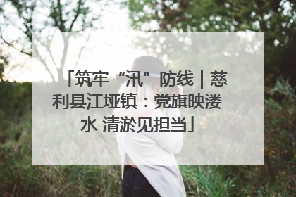 筑牢“汛”防线｜慈利县江垭镇：党旗映溇水 清淤见担当