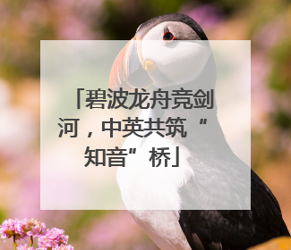 碧波龙舟竞剑河，中英共筑“知音”桥