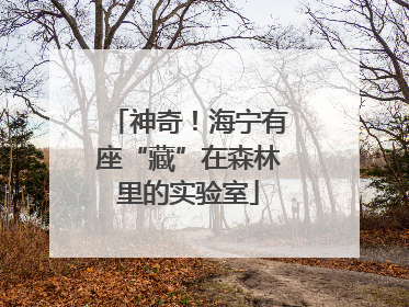 神奇！海宁有座“藏”在森林里的实验室