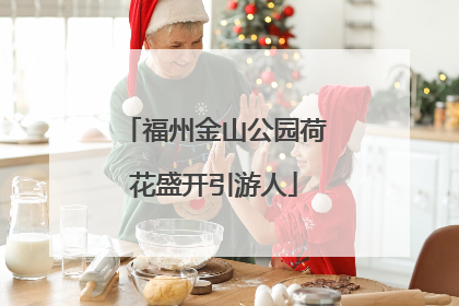 福州金山公园荷花盛开引游人