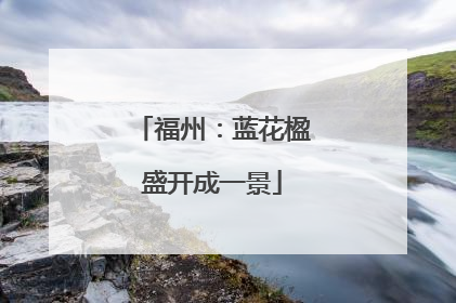 福州：蓝花楹盛开成一景