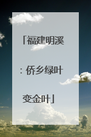 福建明溪：侨乡绿叶变金叶