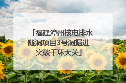 福建漳州核电排水隧洞项目3号洞掘进突破千环大关