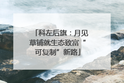 科左后旗：月见草铺就生态致富“可复制”新路