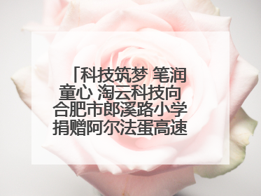 科技筑梦 笔润童心 淘云科技向合肥市郎溪路小学捐赠阿尔法蛋高速词典笔