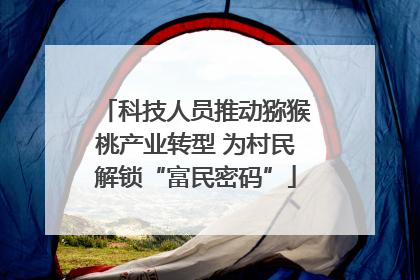 科技人员推动猕猴桃产业转型 为村民解锁“富民密码”