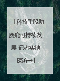 科技手段助麋鹿可持续发展 记者实地探访→