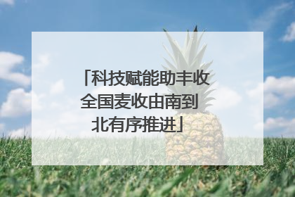 科技赋能助丰收 全国麦收由南到北有序推进