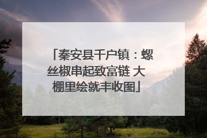 秦安县千户镇：螺丝椒串起致富链 大棚里绘就丰收图