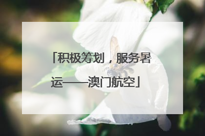 积极筹划，服务暑运——澳门航空