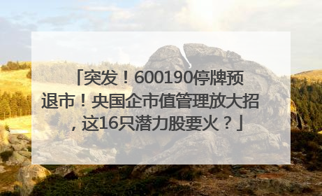 突发！600190停牌预退市！央国企市值管理放大招，这16只潜力股要火？