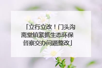 立行立改！门头沟斋堂镇紧抓生态环保督察交办问题整改