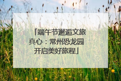 端午节邂逅文旅真心：常州恐龙园开启美好旅程
