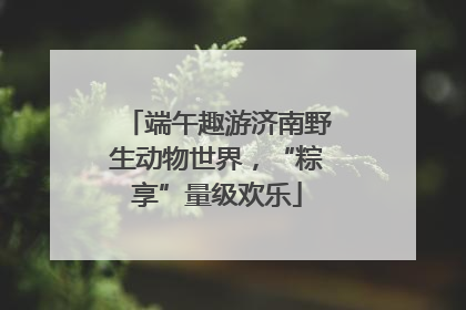 端午趣游济南野生动物世界，“粽享”量级欢乐