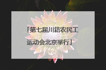 第七届川籍农民工运动会北京举行