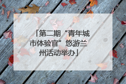 第二期“青年城市体验官”悠游兰州活动举办