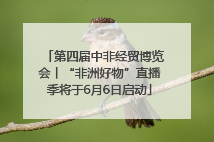 第四届中非经贸博览会丨“非洲好物”直播季将于6月6日启动