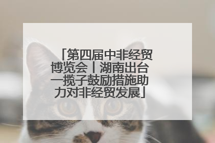 第四届中非经贸博览会丨湖南出台一揽子鼓励措施助力对非经贸发展