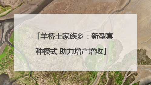 羊桥土家族乡：新型套种模式 助力增产增收