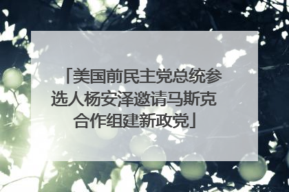 美国前民主党总统参选人杨安泽邀请马斯克合作组建新政党