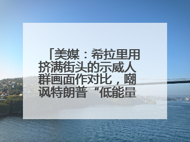 美媒：希拉里用挤满街头的示威人群画面作对比，嘲讽特朗普“低能量”阅兵式观众少