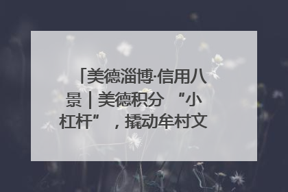 美德淄博·信用八景｜美德积分 “小杠杆”，撬动牟村文明 “大能量”