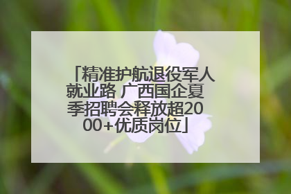 精准护航退役军人就业路 广西国企夏季招聘会释放超2000+优质岗位
