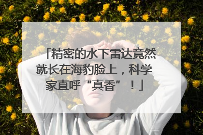 精密的水下雷达竟然就长在海豹脸上，科学家直呼“真香”！