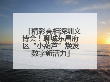 精彩亮相深圳文博会！聊城东昌府区“小葫芦”焕发数字新活力