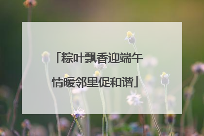 粽叶飘香迎端午 情暖邻里促和谐