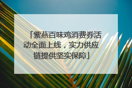 紫燕百味鸡消费券活动全面上线，实力供应链提供坚实保障