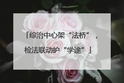 综治中心架“法桥”，检法联动护“学途”