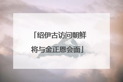绍伊古访问朝鲜 将与金正恩会面