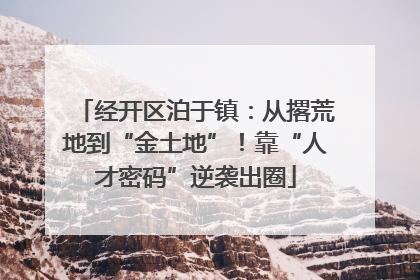 经开区泊于镇：从撂荒地到“金土地”！靠“人才密码”逆袭出圈