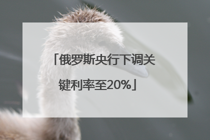 俄罗斯央行下调关键利率至20%