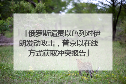 俄罗斯谴责以色列对伊朗发动攻击，普京以在线方式获取冲突报告