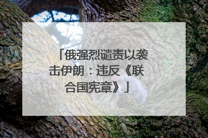俄强烈谴责以袭击伊朗：违反《联合国宪章》