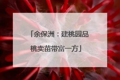 余保洲：建桃园品桃卖苗带富一方