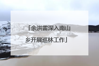 余洪雷深入南山乡开展巡林工作