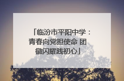 临汾市平阳中学：青春向党担使命 团徽闪耀践初心