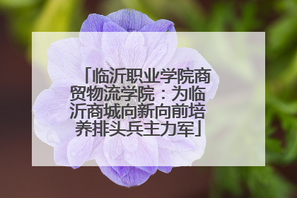 临沂职业学院商贸物流学院：为临沂商城向新向前培养排头兵主力军