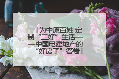 为中原百姓 定制“三好”生活——中国电建地产的“好房子”答卷