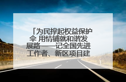 为民撑起权益保护伞 用情铺就和谐发展路——记全国先进工作者、新区项目建设中心干部卢小勇